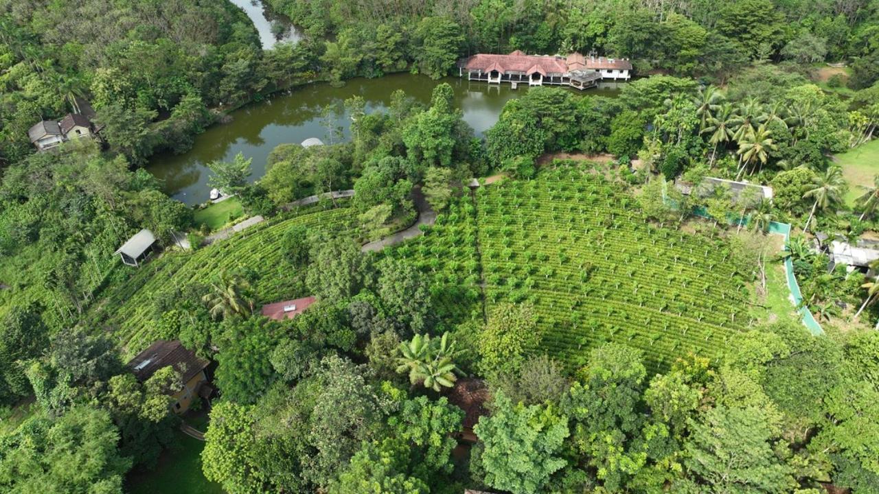 Lake Serenity Resort & Spa Kuruwita Exterior photo